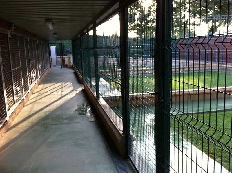 Centro Canino Villalazán pasillo