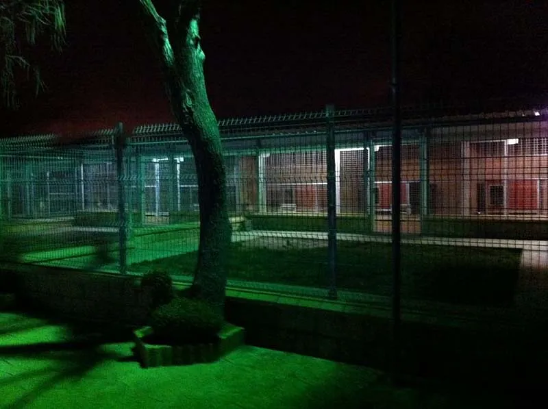 Centro Canino Villalazán arbol