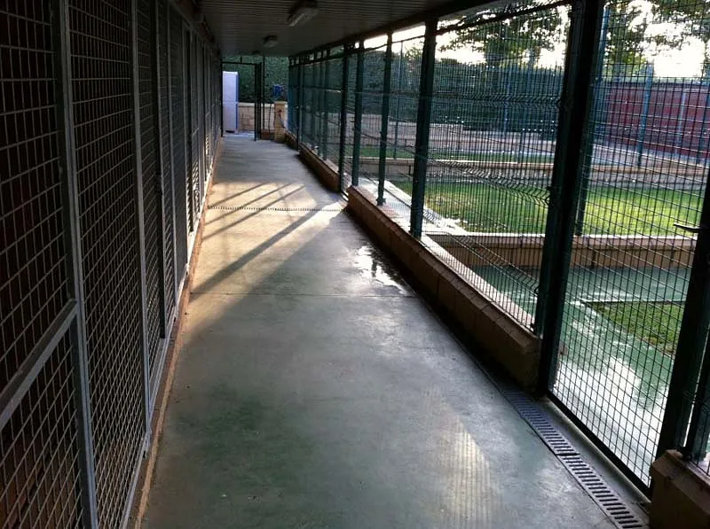Centro Canino Villalazán pasillo con jaulas